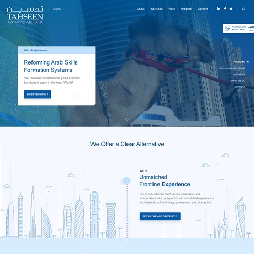 Web Design for a Consulting Company
