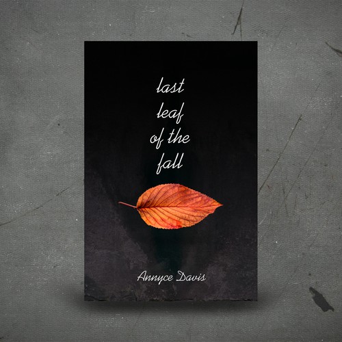 Minimalist book cover