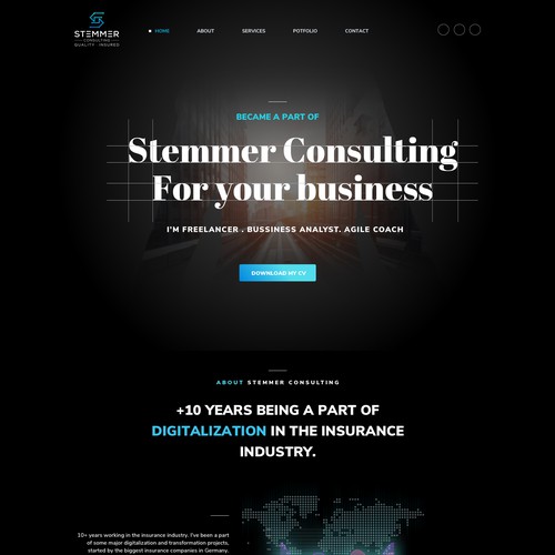 stemer cinsulting