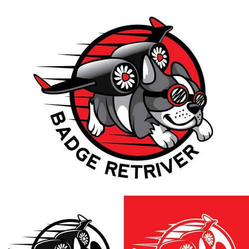 Badge Retriever a service to appeal to security teams