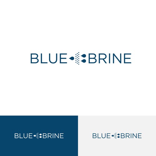 Logo design concept for Blue Brine