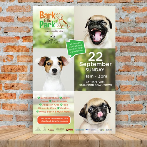 Flyer design for fun doggie day in the park