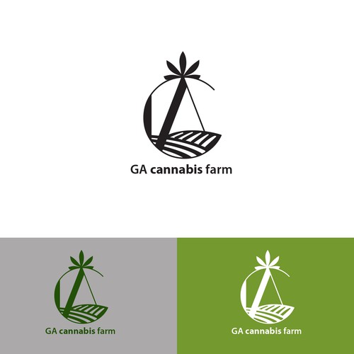 GA cannabis farm