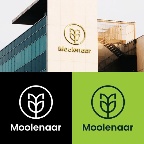 MOOLENAAR