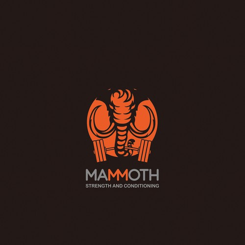 Logo For Fitness