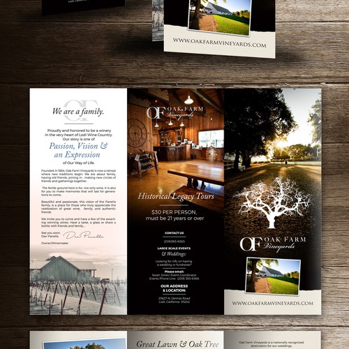 trifold brochure