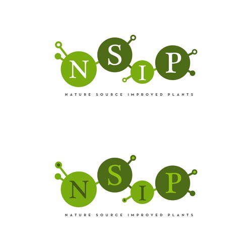 NSIP (propuesta)