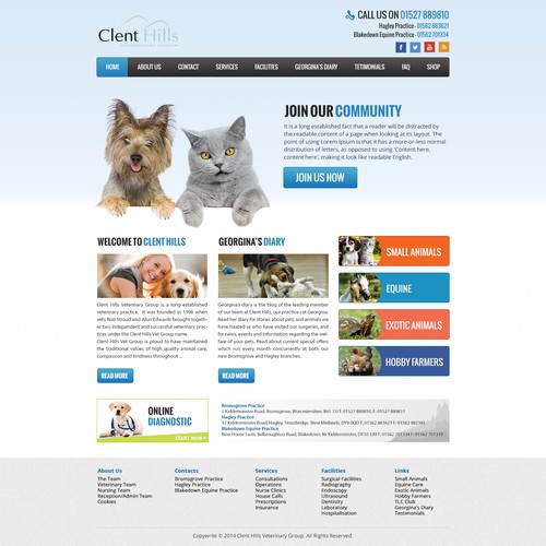 Design the best Vets website homepage on the planet!