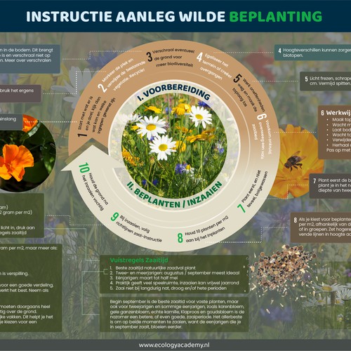 Infographic for online course