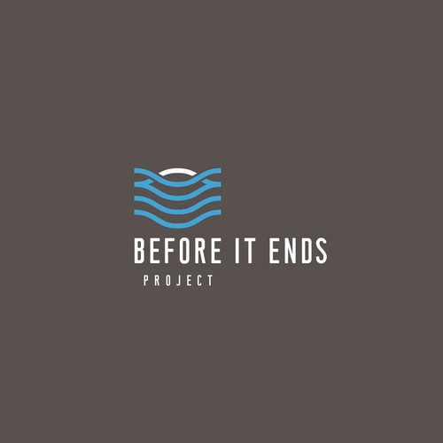 Before it Ends Project