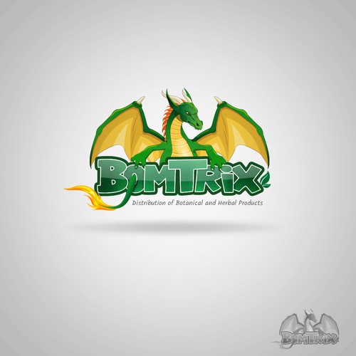 Dragon logo consept for bomfrix