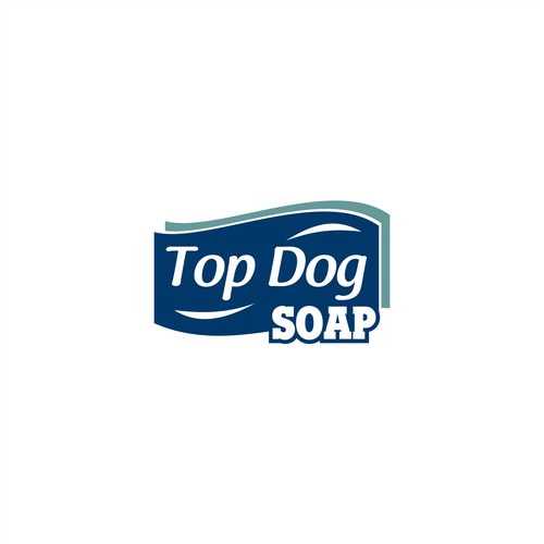 logo concept for soap product