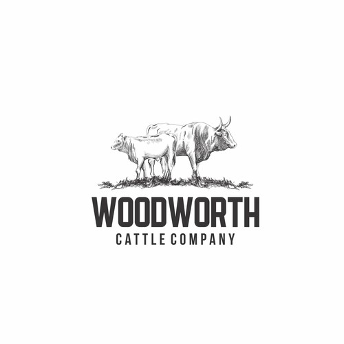 Woodworth cattle company