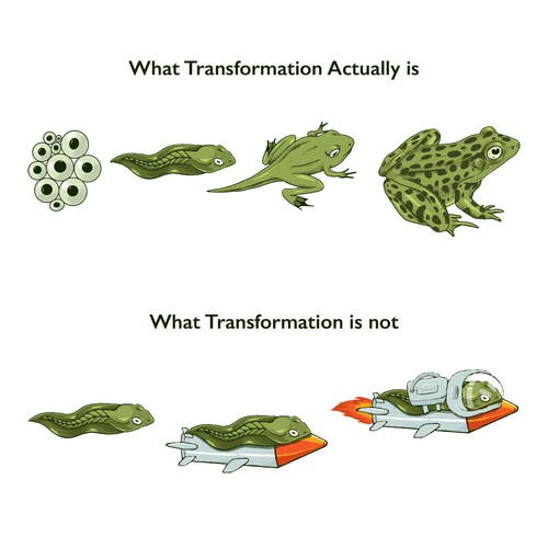 What transformation actually is