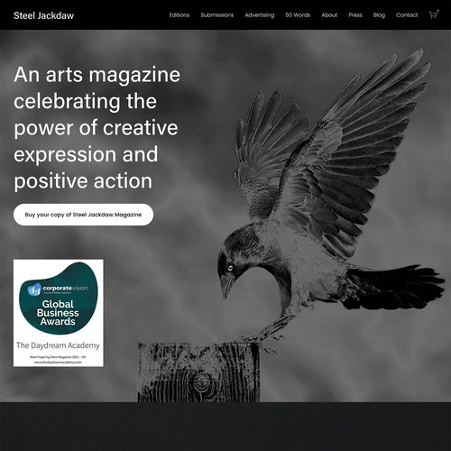 Steel Jackdaw Magazine Squarespace Website Design