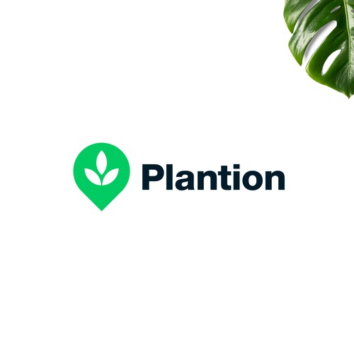Plantion 