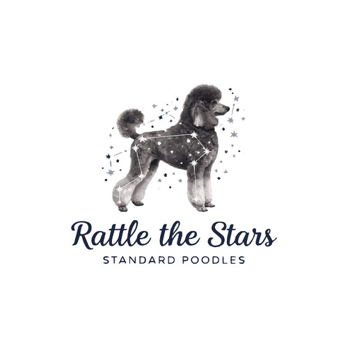 Rattle the Stars Standard Poodles