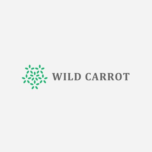 Wild Carrot