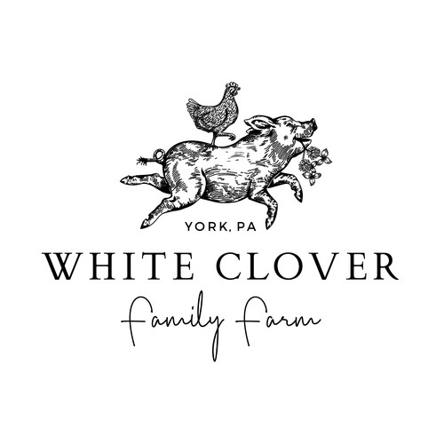 Unique whimsical Farm Logo design