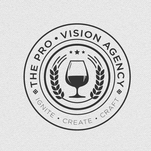 Logo Concept For The Pro Vision Agency