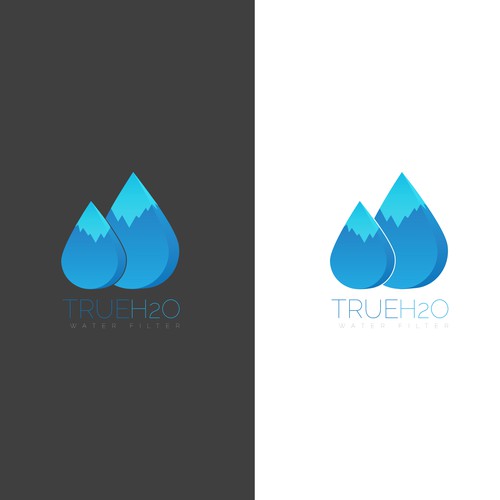 True H20 Logo concept.