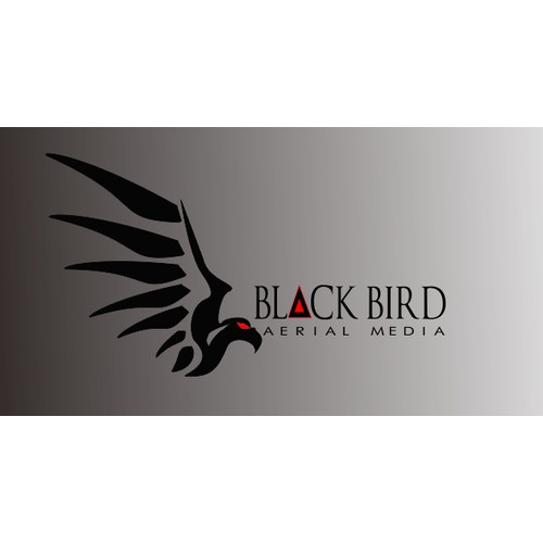 blackm bird