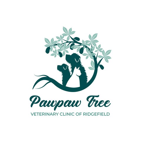 pawpaw tree