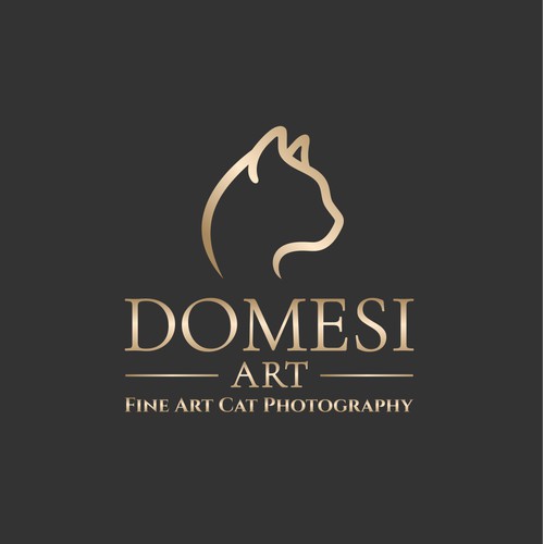 Logo concept for DOMESI ART