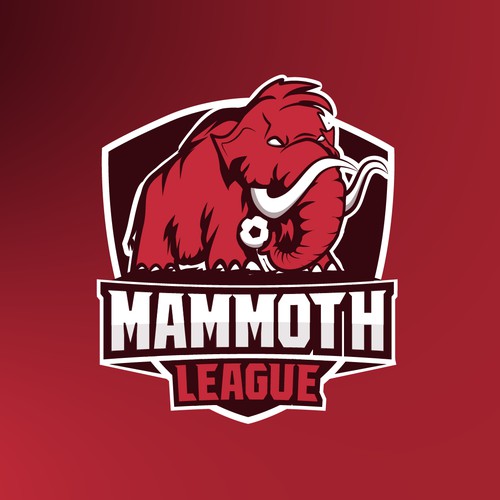Logo gor a fantasy soccer game