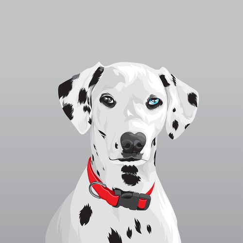 Dalmatian