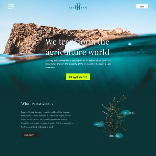 ocean web design