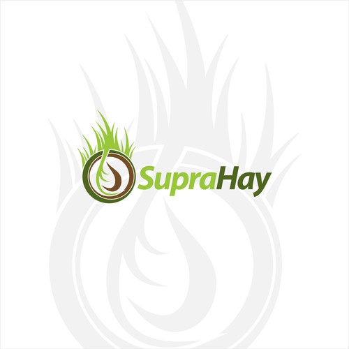 Supra Hay