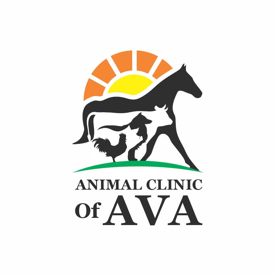 Current logo needs complete makeover!