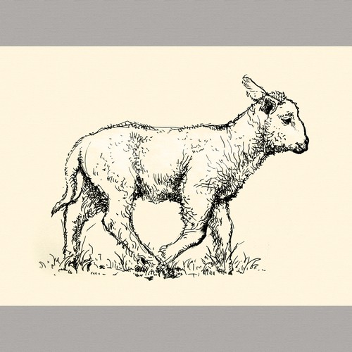 We need you to draw a lamb.