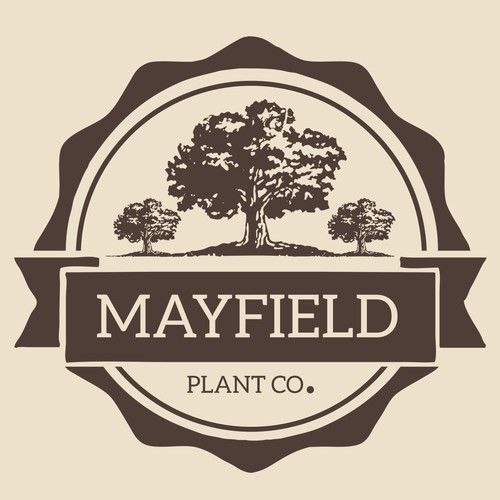 Timeless Logo to Modern Plant Store brand