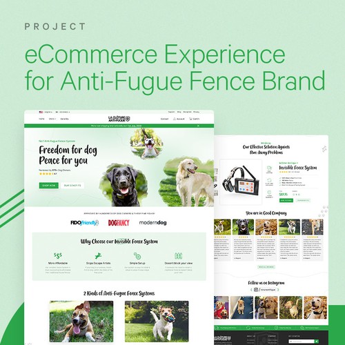 eCommerce Experience for Pet Store