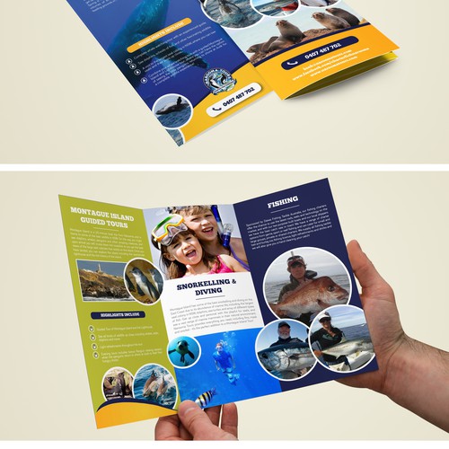 Create a new Tour brochure for Narooma Tours & Charter Fish Narooma