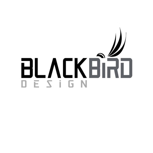 Logo concept for Blackbird Design