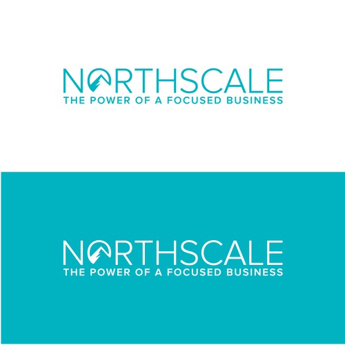 Northscale logo