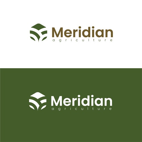 meridian logo