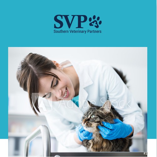 Newsletter Email Template Design for Southern Veterinary Partners