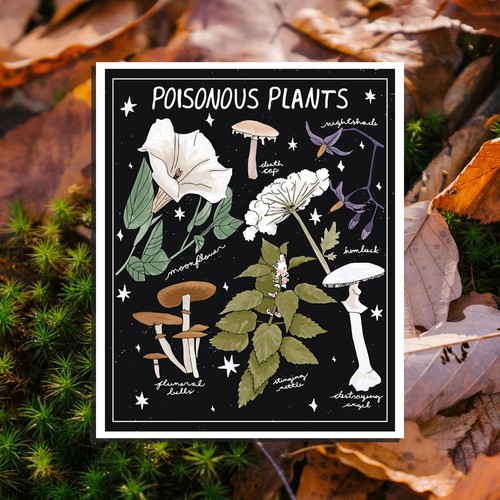 Poisonous Plants Sticker