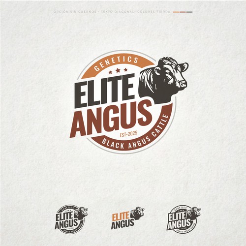 Propuesta finalista, diseño de logo y guia de marca.