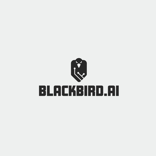 Blackbird.ai