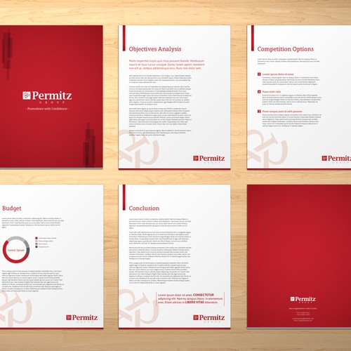 Brochure for Permitz Group