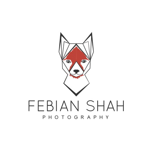 Logo for photographer