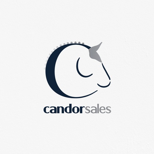 Winning Logo for Candor Sales