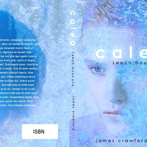 Help Book author james crawford with a new print book cover