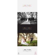 Reviewed design