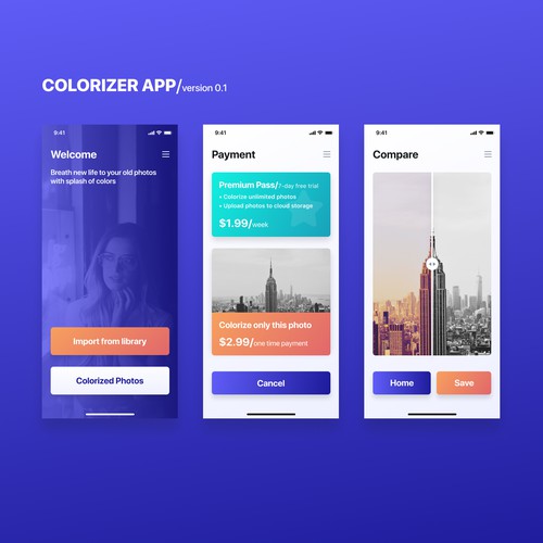 UI design for a Colorizer app